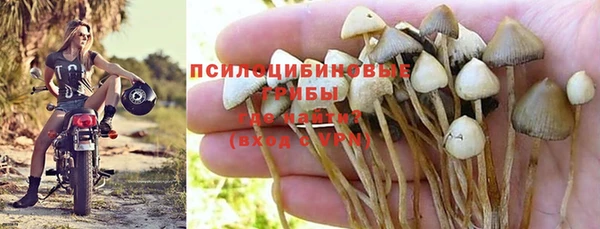 ешки Армянск